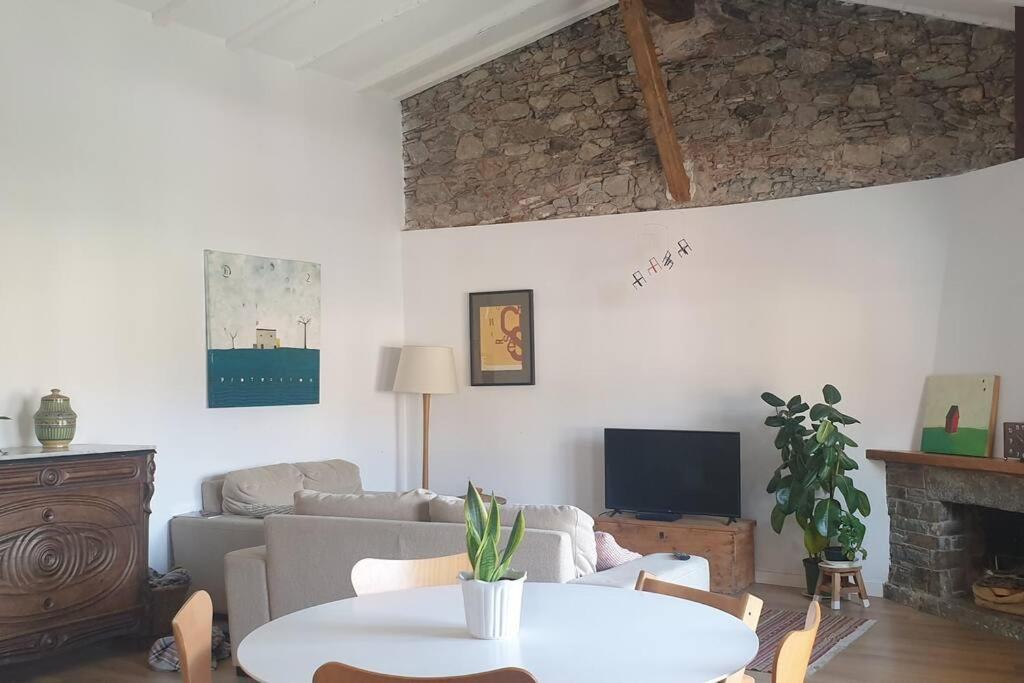 Apartamento Centrico Con Vistas! Camprodon Extérieur photo